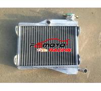 Alluminio Radiatore PER Yamaha 1980-1983 RD250 LC 4L1 1981-1990 RD350 4L0 YPVS