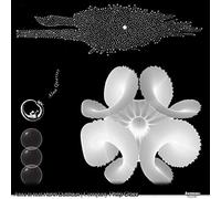 ALMA QUARTET - DUTILLEUX AND GLASS