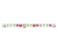 ALMACENESADAN, 5187 Confezione Festa Compleanno; Ghirlanda Happy Birthday; Licenza (Principesse)