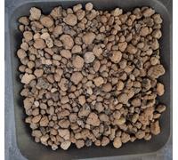 AlmaStore Argilla Espansa per Piante in Vaso | Pacciamante e Drenante per vasi e Fiori | 3 Litri - 5 Litri - 10 Litri (3 Litri)