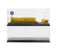 Almencla 2 Pezzi Custodia Modello Auto Display Miniatura Parcheggio Garage Diorama Diecast con Accessori Realistici Materiale Pp Adatta a Collezione Esposizion, Giallo