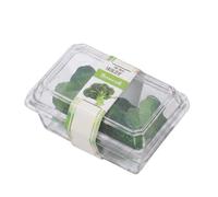 Almencla Industriale Accessorio Casa Delle Bambole Contenitore Miniatura Scatola Cibo con Chiaro Realistico in PVC per Diorami Creazioni Artistiche Scene a, Broccoli