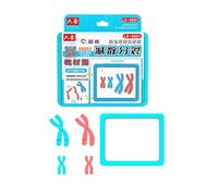 Almencla Kit Modello per Lo Studio Della Meiosi E Del Cambiamento Cromosomico, Facile Da Usare. Set di Modelli Scientifici E Biologici.