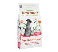 Almo Nature Holistic Large Adult con Salmone Fresco - 12 kg