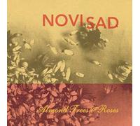 Almond Trees & Roses