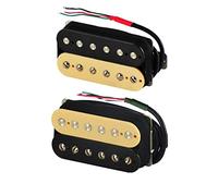 Alnico 5 Humbucker Pickup Double Coil Guitar Electric Pickup Collo O Bridge Zebra Colore Pickup chitarra elettrica (Color : Neck and Bridge)