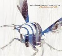Alo (Animal Liberation Orchest - Fly Between Falls