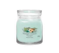 Aloe & Agave, candela giara media Yankee Candle