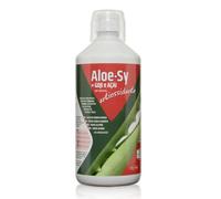 Syrio Aloe‑Sy con Goji e Açai 1 L