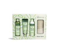 Aloe Vera 4-Piece Case