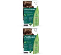 ALOECOLOR 6.0-biondo scuro 2x1 St