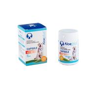 Aloeplus Capsule - Capsule