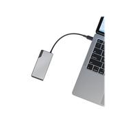 Alogic UCFUHDV2-SGR USB 3.2 Gen 1 (3.1 Gen 1) Type-C 100 W Nero Grigio 60 Hz