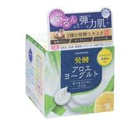 ALOINS - Aloemade Fermented Aloe Yogurt All-In-One Gel 100g
