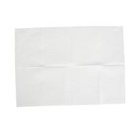 Alomejor Bavaglini Usa e Getta per Nail Art, Tovagliette, Tappetini, Coperture Multifunzionali per Vassoio, 80 Pezzi (WHITE)