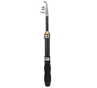 Alomejor Canna da Pesca Tasca Mini Portatile per Pesca in Mare e Acqua Dolce, Canna da Pesca Compact 1M con Set Accessori Completo