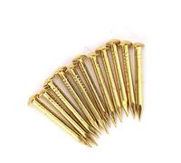 Alomejor Chiodi in Ottone a Testa Tonda da 100 Pezzi Elementi di Fissaggio di Alta qualità per Cerniere per Mobili Installazione Facile Durevole 10mm 15mm 18mm 22mm (22 mm di lunghezza ispessito)