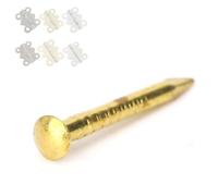 Alomejor Chiodi in Ottone a Testa Tonda da 100 Pezzi Elementi di Fissaggio di Alta qualità per Cerniere per Mobili Installazione Facile Durevole 10mm 15mm 18mm 22mm (15 mm di lunghezza)