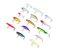 Alomejor Esche da Pesca, Kit Esca Realistica in Plastica ABS, Set di Attrezzatura Versatile da 15 Pezzi per gli Appassionati di Pesca d'acqua Dolce