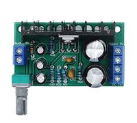 Alomejor Modulo Amplificatore di Potenza Mono 5W-120W DC12-24V | Design compatto, Potenziometro incluso, Prestazioni stabili, Adatto per dispositivi audio