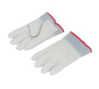 Alomejor Resistenti Alle Basse Temperature, Antigelo -436℉ | Design addensato, materiale in pelle PU, perfetto per il lavoro in congelatore, movimentazione di celle frigorifere