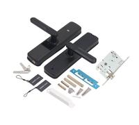 Alomejor Serratura Elettronica Intelligente a Induzione per Casa Hotel, Sblocco Chiave Password Serratura APP Intelligente per Porta in Legno Acciaio Inossidabile, 100 Set Sicurezza Ingresso Carta