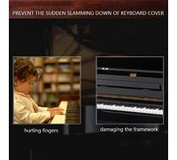 Alomejor Shock Idraulico per il Piano di Controllo del Piano di Controllo per Abbassare Lentamente il Coperchio Pesante e L'installazione Semplice (BLACK)