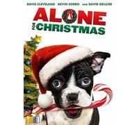 Alone for Christmas