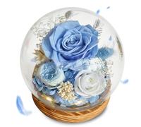Aloskart Rosa Eterna Cupola di Vetro con LED - Luce Calda, Base Legno(Blu) | Rosa Stabilizzata Vera,Dono dell'amore Eterno,Regalo per Lei, Mamma, Moglie Anniversario, Natale, Festa della Mamma