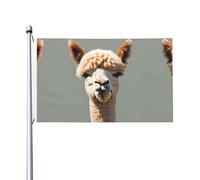 Alpaca avatar Bandiera stampata su entrambi i lati (91,4 x 152,4 cm), grande bandiera da giardino, bandiera decorativa per esterni festivi