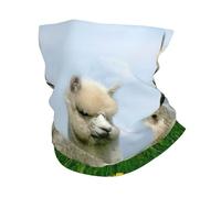 Alpaca Famiglia Stampa Sci Copertura Del Viso Freddo Sciarpa Per Uomo Donna, Scaldacollo Ghetta Per Sci Corsa