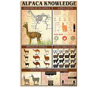 Alpaca Knowledge 2 Scopri di più sugli alpaca Infografiche Cartelli in metallo e latta Poster sulla conoscenza degli alpaca Enciclopedia degli animali Targhe Ufficio artistico Den Club Decorazi