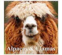Alpacas & Llamas (Wall Calendar 2026 12" x 24" / 30 x 60 cm (aperto) Calvendo 12 Month Wall Calendar