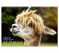 Alpagas, doudous aux coiffures sauvages (Calendrier mural 2026 DIN A3 vertical), CALVENDO calendrier mensuel: Des animaux en peluche dans les pâturages.