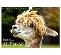 Alpagas, doudous aux coiffures sauvages (Calendrier mural 2026 DIN A4 vertical), CALVENDO calendrier mensuel: Des animaux en peluche dans les pâturages.