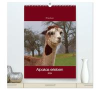 Alpakas erleben (hochwertiger Premium Wandkalender 2026 DIN A2 hoch), Kunstdruck in Hochglanz: Ein Alpaka-Allerlei ...