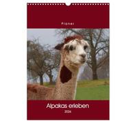 Alpakas erleben (Wandkalender 2026 DIN A3 hoch), CALVENDO Monatskalender: Ein Alpaka-Allerlei ...