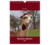 Alpakas erleben (Wandkalender 2026 DIN A4 hoch), CALVENDO Monatskalender: Ein Alpaka-Allerlei ...
