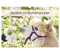 Alpakas im Blumenzauber (Wandkalender 2027 DIN A3 quer), CALVENDO Monatskalender