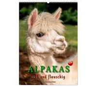 Alpakas - süß und flauschig (Wandkalender 2026 DIN A2 hoch), CALVENDO Monatskalender: Eindrucksvolle Bilder der niedlichen Tiere.