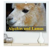Alpakas und Lamas (hochwertiger Premium Wandkalender 2026 DIN A2 quer), Kunstdruck in Hochglanz: Südamerikas wuschelige und spuckende Wiederkäuer