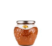 Alpe Pragas Alba Composta di Frutta Albicocca 600g NV