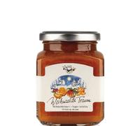Alpe Pragas Composta di Frutta Sogno Natalizio 335g NV