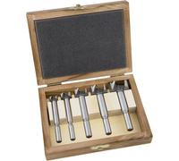 Alpen 23900005100 00 Kit punte Forstner 5 parti 15 mm, 20 mm, 25 mm, 30 mm, 35