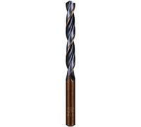 Alpen 62601900100 trapano "Sprint Master DIN 338 19, 0 mm, 0 V, grigio