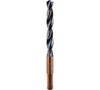 Alpen 64801750100 trapano "s-master DIN 338, 12, 5 x 30, 17, 5 mm, 0 V, grigio