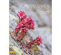 Alpenblumen. Kalender 2027: Fiori alpini - Alpine flowers