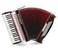 Alpenklang Pro Fisarmonica IV 96 M - 38 Tasti Diskant - 96 Bassi - Tastiera in Madreperla - Doppio Tremolo - Ance Tipo a Mano - Palissandro