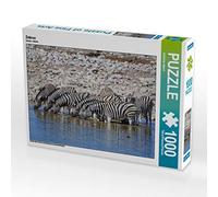 Alpert Christian - Puzzle da 1000 pezzi, soggetto: zebra, dimensioni 64 x 48 cm