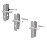 Alpertec Set di 3 accessori per la ristrutturazione della porta, in acciaio inox lucidato/satinato, laccato lucido, per 3 ante con fori per barba, maniglia della porta, maniglia della porta